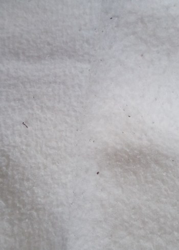 3 adet beyaz kalın  çocuk sweatshirt - Görsel 3