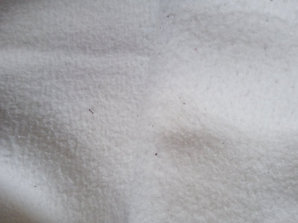 3 adet beyaz kalın  çocuk sweatshirt - Görsel 3