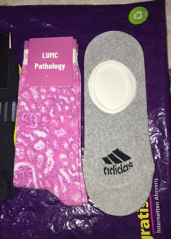 Renkli Erkek Mini Spor Çorap Seti - Görsel 3