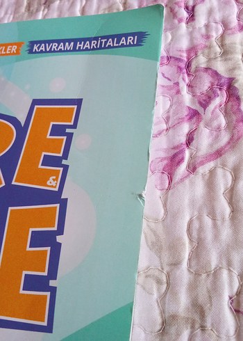 More More Fenomen 6 Test Kitabı - 500 Soru - Görsel 7