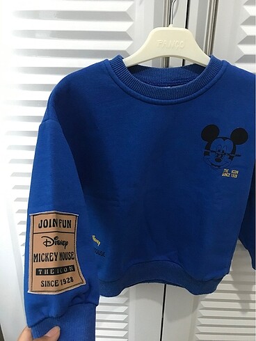 Zara Zara erkek bebek sweat