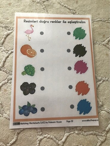 Okul öncesi eğitim temel kavramlar sıfır ürün pvc