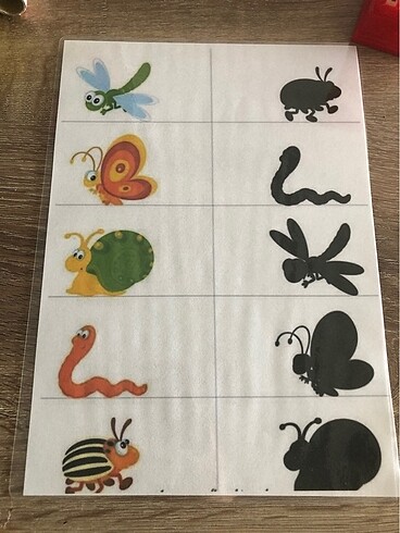 Okul öncesi temel kavramlar