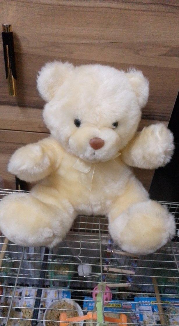 Bej Peluş Ayıcık Oyuncak - Görsel 5