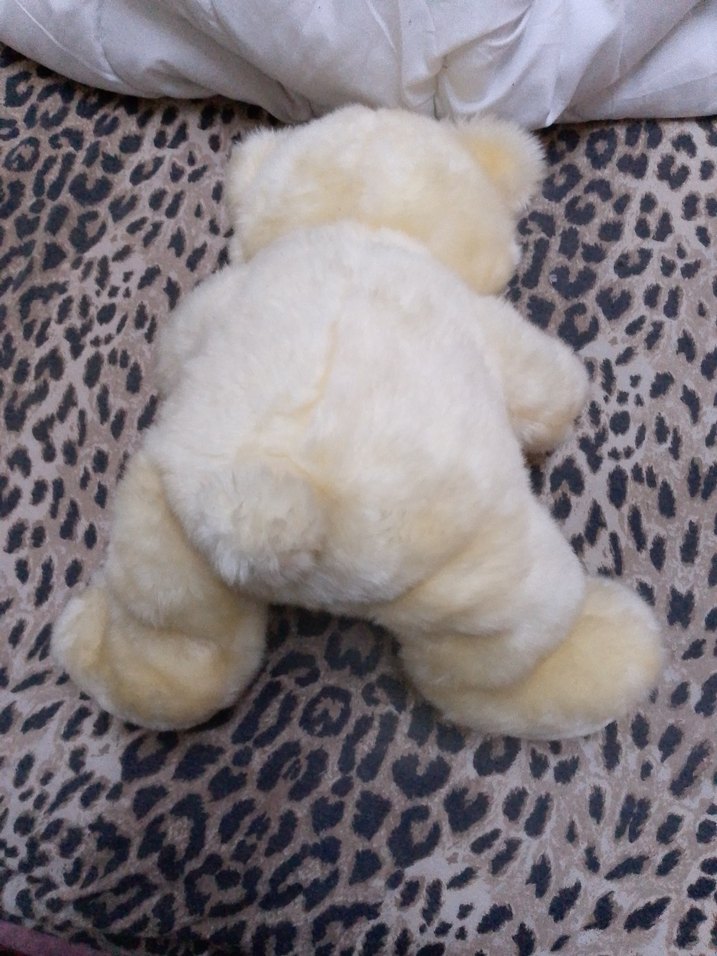 Bej Peluş Ayıcık Oyuncak - Görsel 4