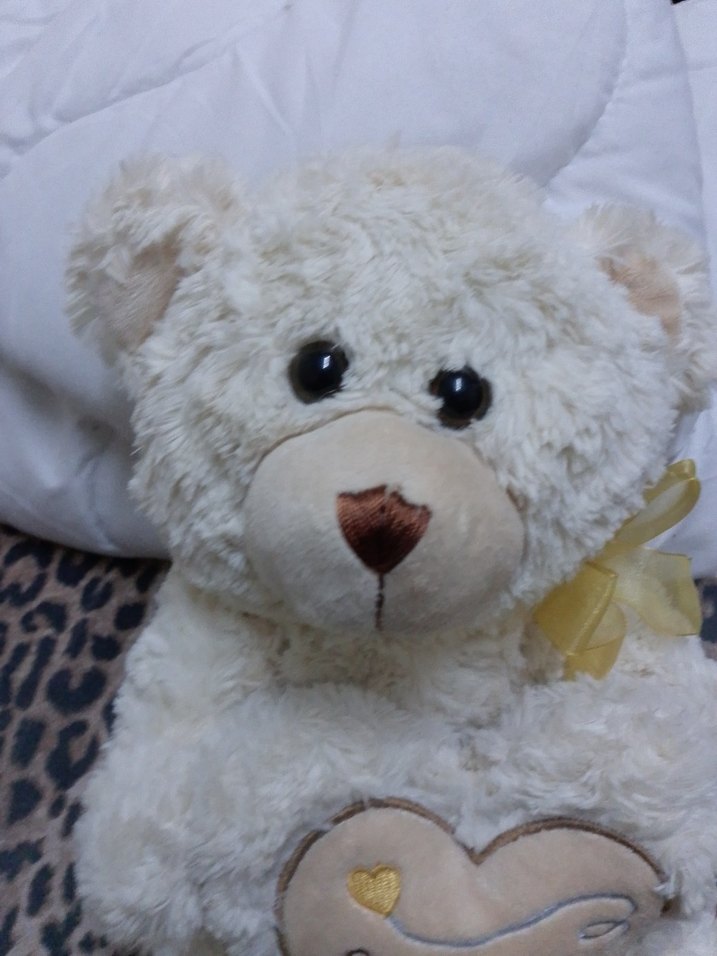 Beyaz Peluş Ayıcık Oyuncak - Görsel 5