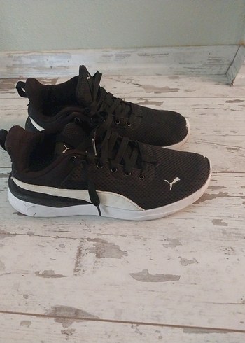 Puma 37