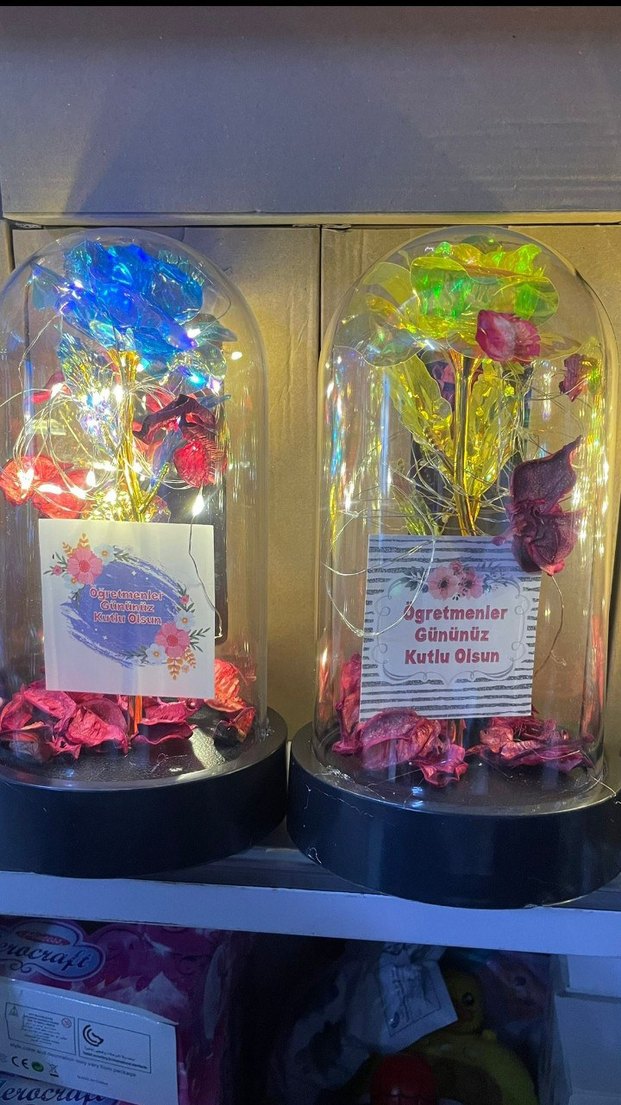 Renkli Öğretmenler Günü Işıklı Dekoratif Güller - Görsel 2