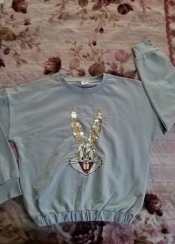 11-12 Yaş Beden Looney Tunes Sweatshirt