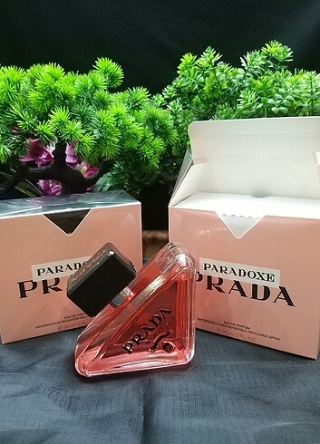 Prada Paradoxe