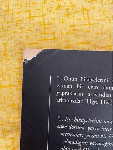  Beden Renk sait faik abasıyanık
