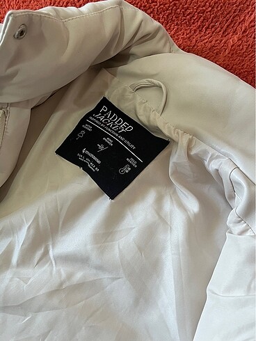 l Beden stradivarius deri mont