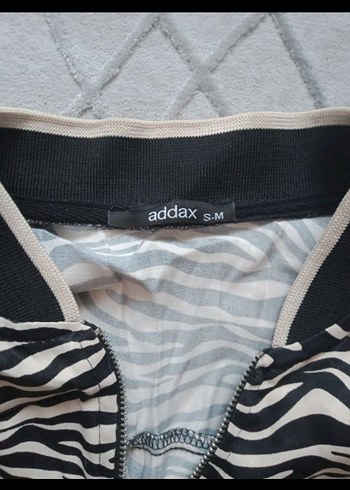 Gri Zebra Desenli Kadın Ceket - Görsel 3