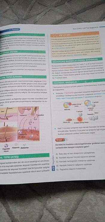  Beden Renk Ayt biyoloji kitap 