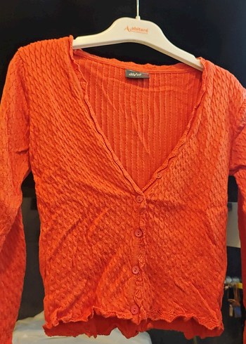 dilvin m