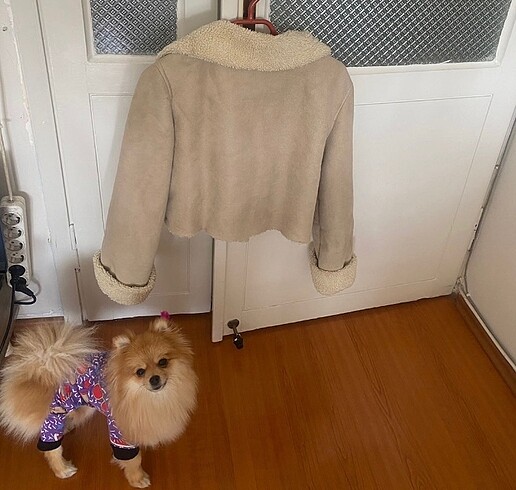 Bershka Bershka muadili mont
