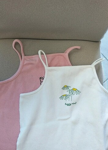 2 li crop top