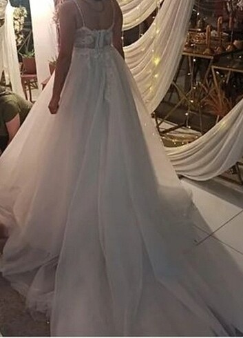 A kesim kuyruklu  - Görsel 2