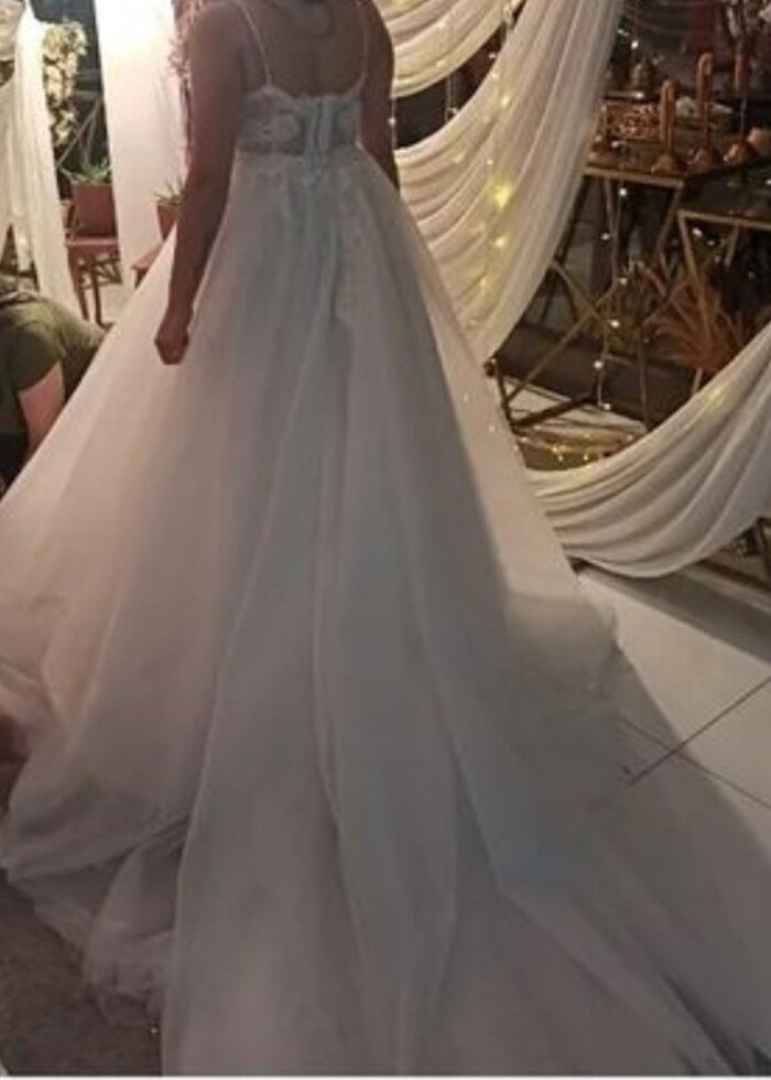 A kesim kuyruklu  - Görsel 2