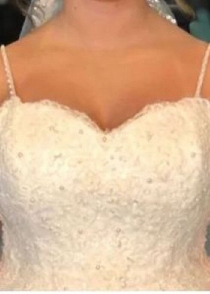 A kesim kuyruklu  - Görsel 3