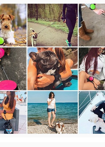 Beyaz Ishinu Akıllı Bileklik köpek tasması - Görsel 5