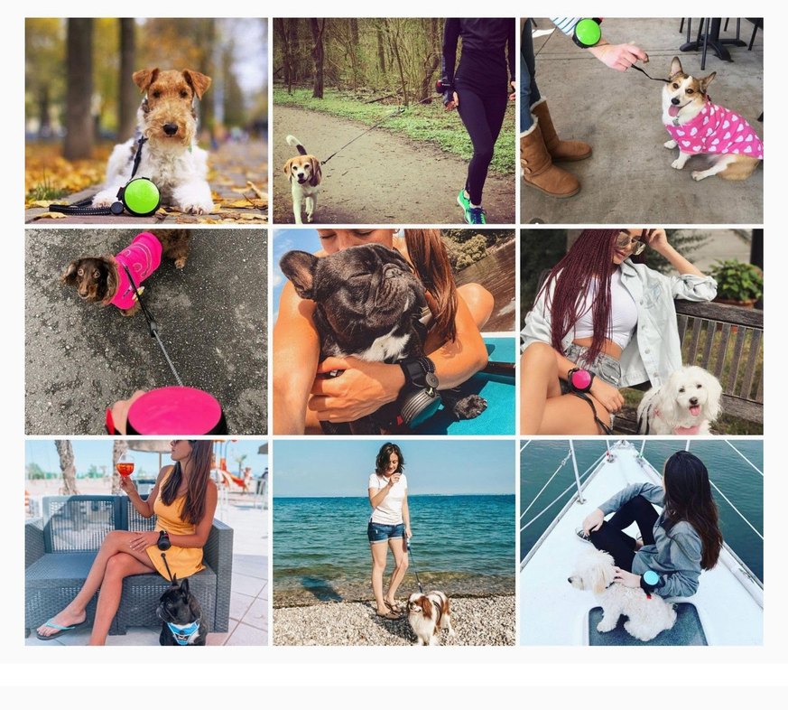 Beyaz Ishinu Akıllı Bileklik köpek tasması - Görsel 5