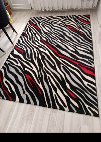 Modern Zebra Desenli Çok Renkli Halı - Görsel 2
