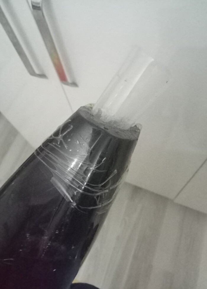 Dik supurge - Görsel 4