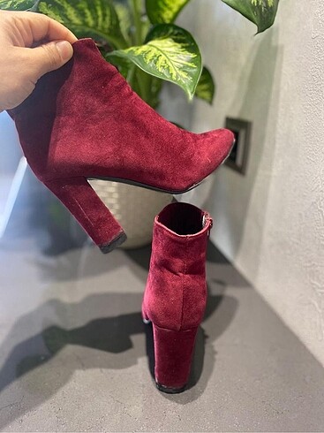 Zara Bayan bot