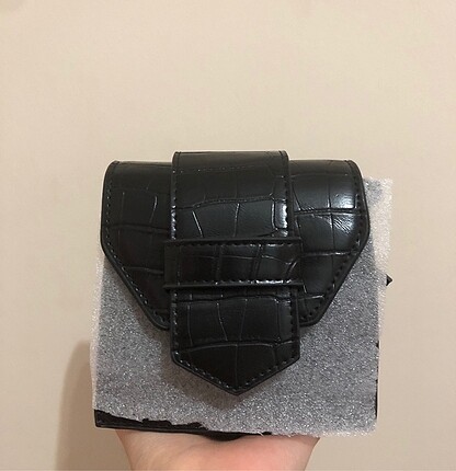 Mango Mini canta