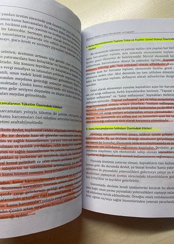 Kamu Maliyesi Teorisi ve Gelişimi Kitabı - Görsel 2