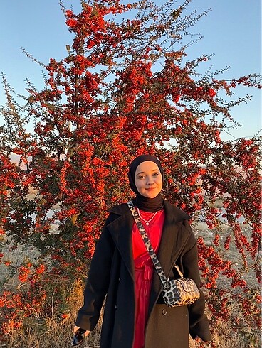 Diğer Kol çantası