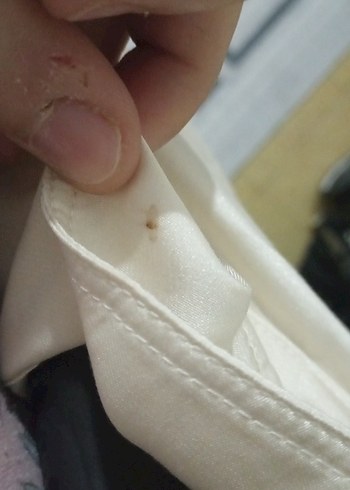 Bej saten Kadın Gömlek Uzun Kollu - Görsel 8