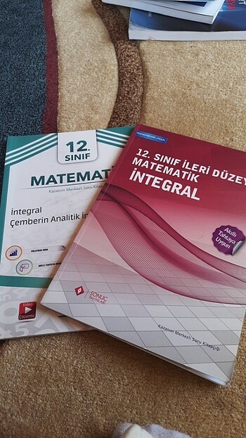 Sonuç 12. Sınıf integral soru bankası 