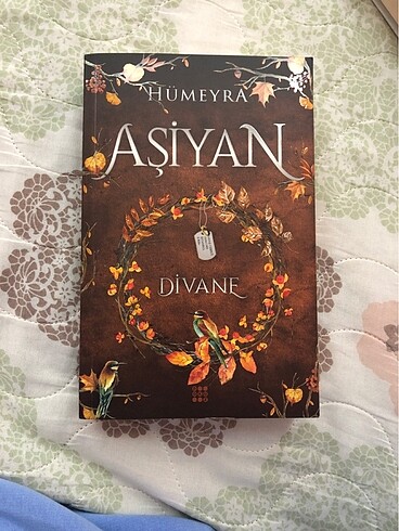Aşiyan divane 2