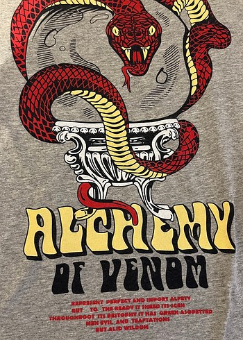 addax oversize tshirt