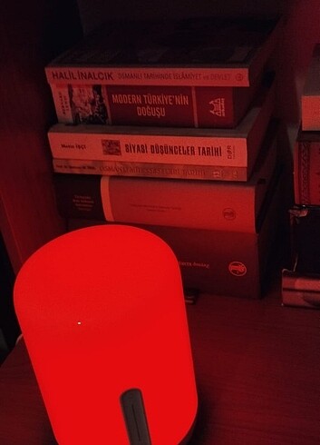 Xiaomi mi lamp2