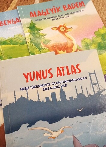  Beden Renk İlkokul okuma kitap