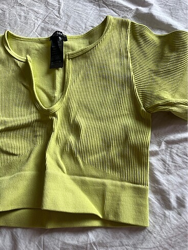 Addax addax seamless crop