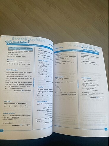 Beden Renk Ales matematik soru seti