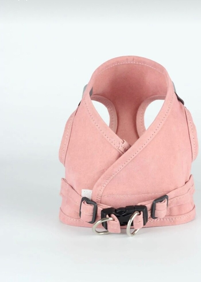 Kedi tasması - Görsel 3