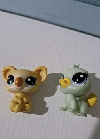 Ornitoreng ve Koala Minişler