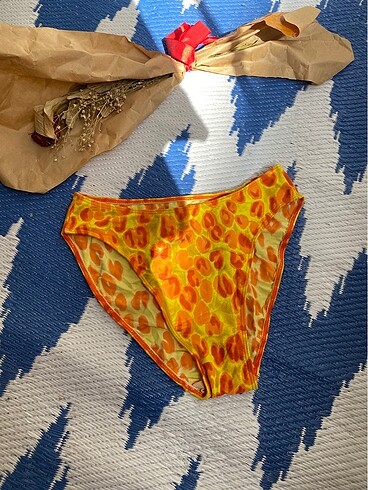 Vintage bikini alt