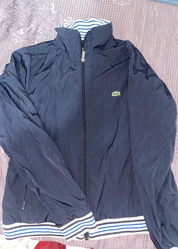 Lacoste Lacivert Sikligi