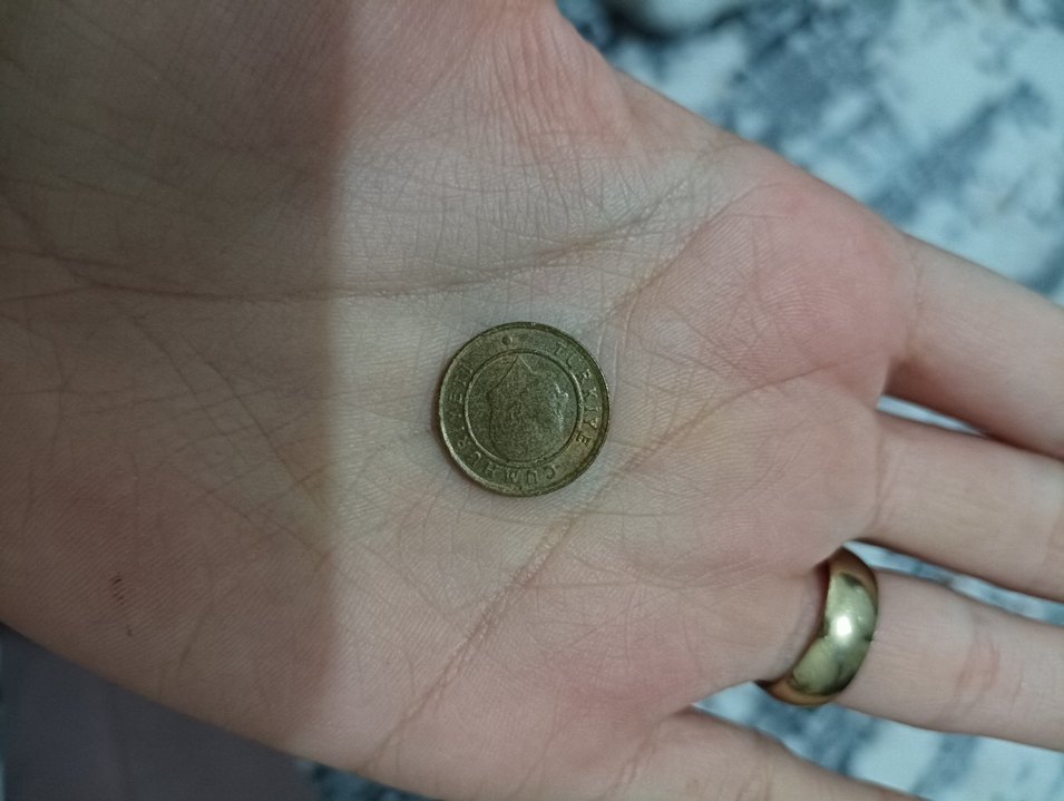 Parlak Altın Renk 1 Kuruş Madeni Para - Görsel 2