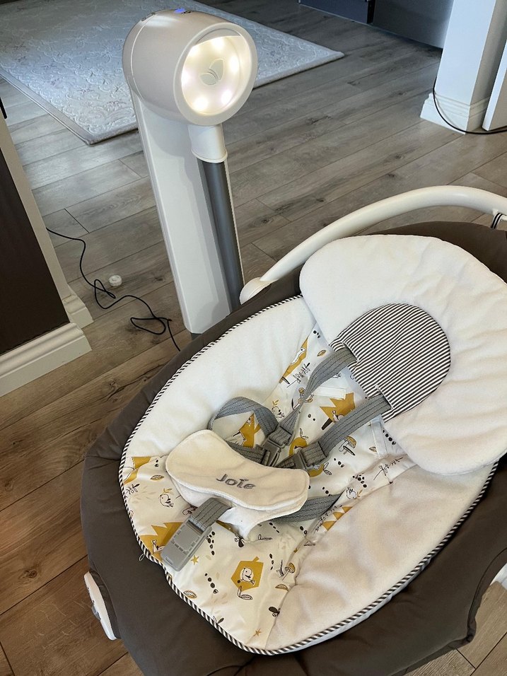 Gri Joie Bebek Salıncağı - Görsel 2