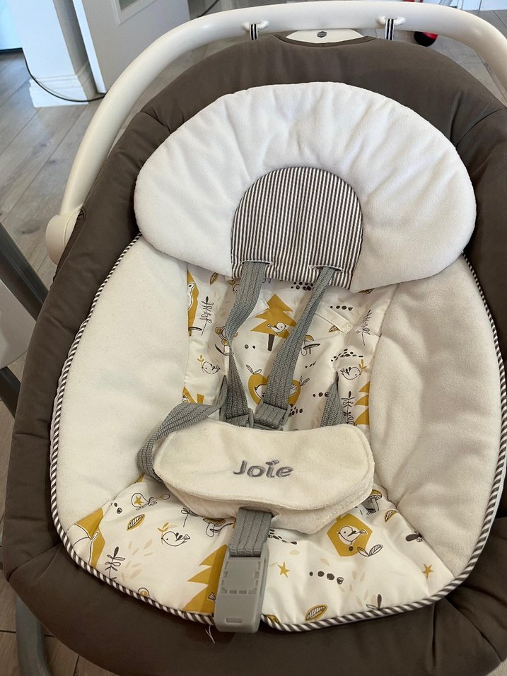 Gri Joie Bebek Salıncağı - Görsel 3
