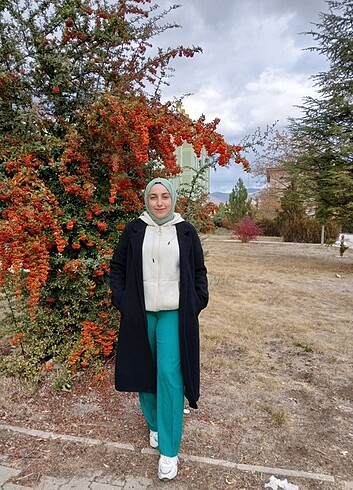 Siyah kaban