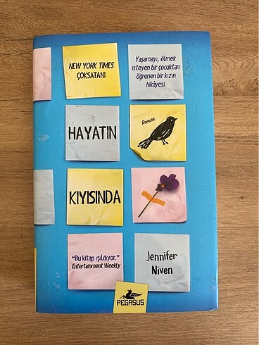Hayatın Kıyısında