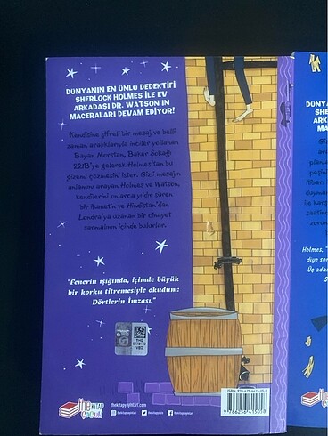  Beden Renk Gizem kitabı,sürükleyici bir kitap